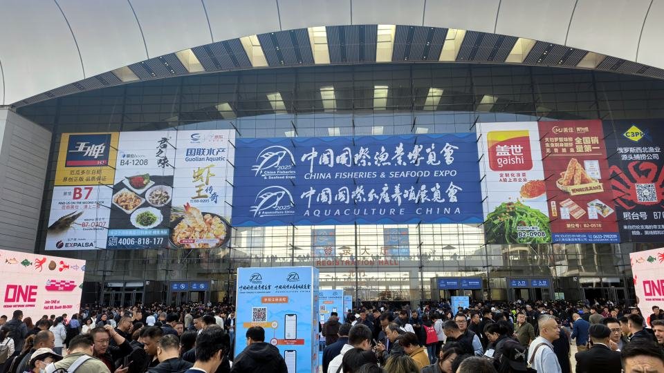 Visitors to CFSE 2025 Salmon Expo Qingdao on October 29th